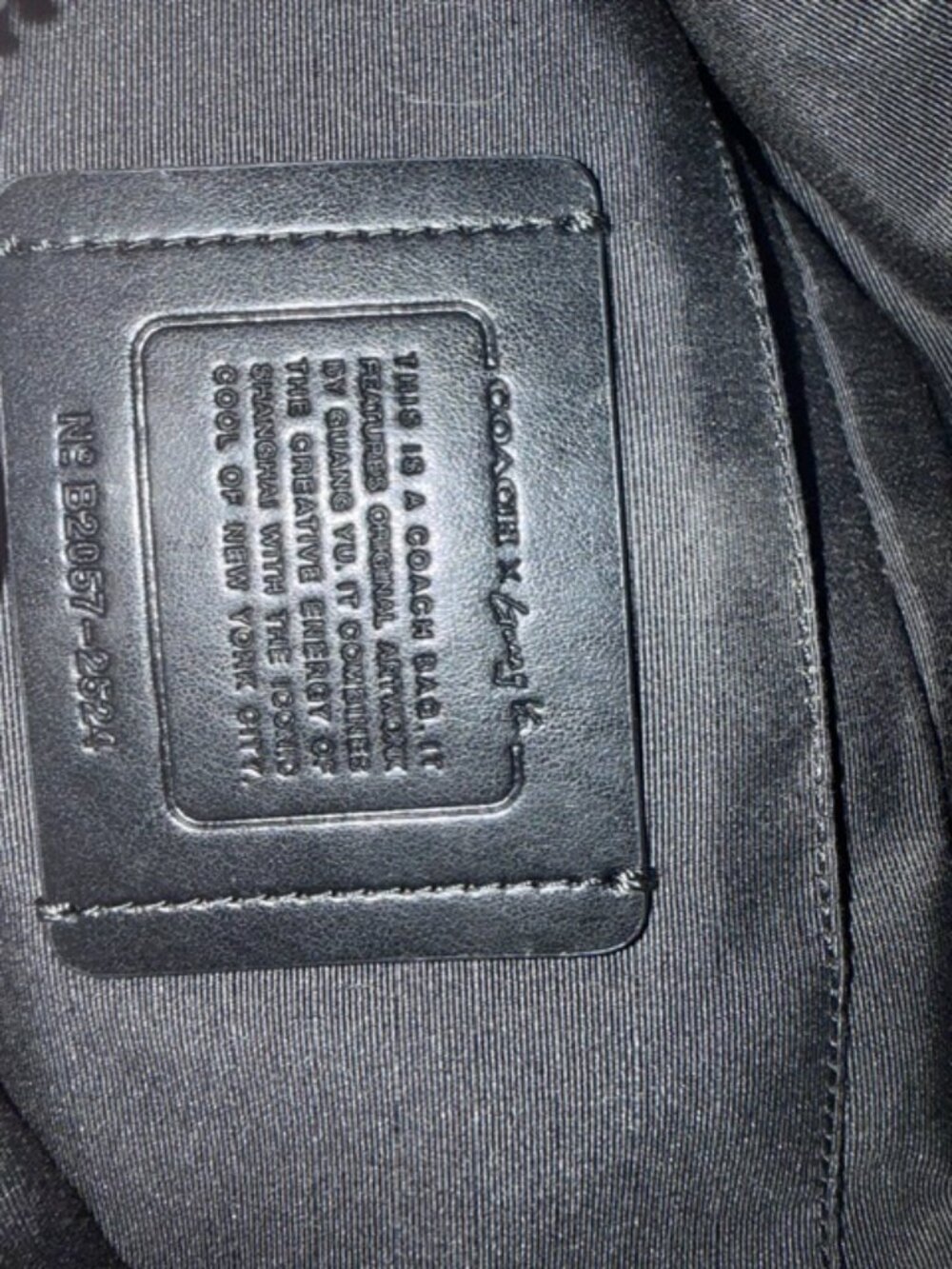 COACH X Super Rare Limited Edition Guang YU Belt Bag - Picture 3 of 5